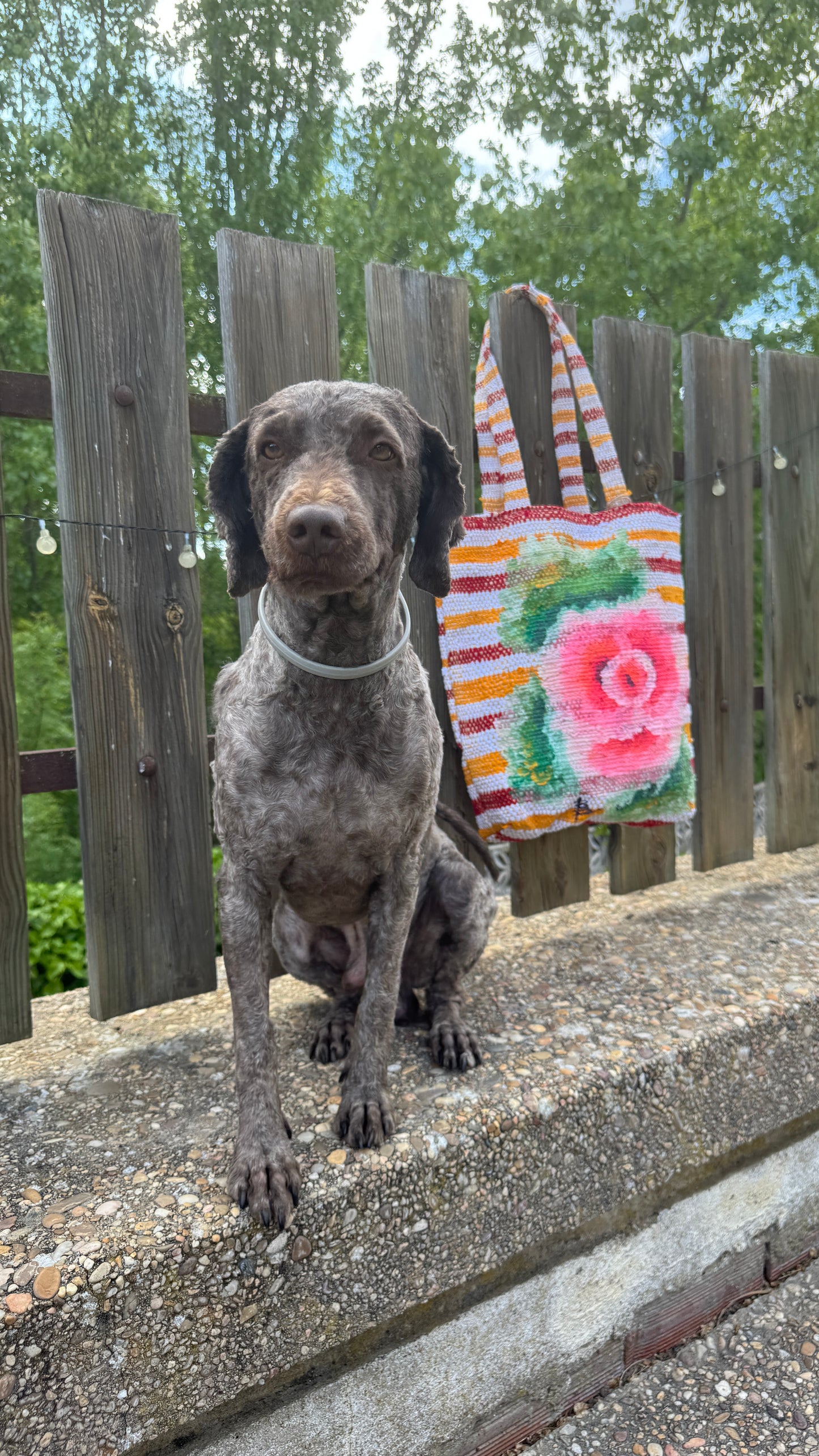 Bolso rafia - algodón